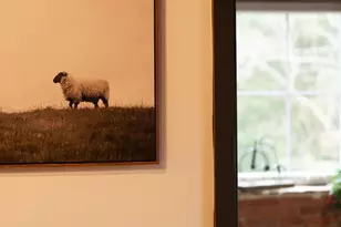 437 W Grant St, Lancaster, PA 17603 - Photo 17