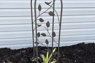 3133 Old Philadelphia Pike, Bird in Hand, PA 17505 - Photo 13