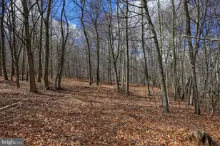 312 Arcadia Trace, Peach Bottom, PA 17563 - Photo 63