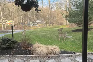 605 Laurel Ridge Rd, Reinholds, PA 17569 - Photo 71