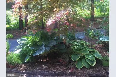 149 Douts Hill Road, Holtwood, PA 17532 - Photo 65