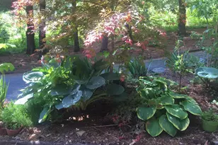 149 Douts Hill Rd, Holtwood, PA 17532 - Photo 65