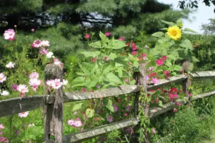 1095 Texter Mountain Rd, Robesonia, PA 19551 - Photo 31