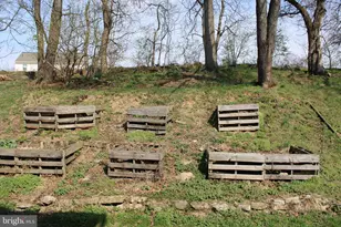 49 Tupelo St, Lititz, PA 17543 - Photo 5