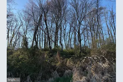 0 Mill Road, Reinholds, PA 17569 - Photo 13