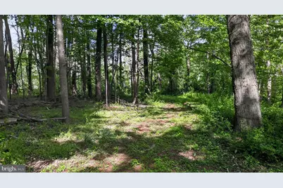 1599 Sanctuary Road, Manheim, PA 17545 - Photo 61