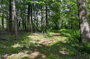 1599 Sanctuary Rd, Manheim, PA 17545 - Photo 61