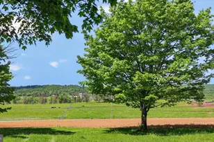 1599 Sanctuary Rd, Manheim, PA 17545 - Photo 43