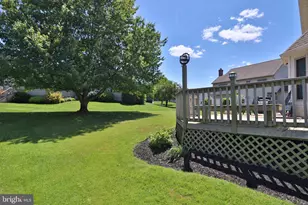 1115 Martin Ave, Ephrata, PA 17522 - Photo 41