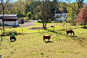 3371 Mathews Ln, Alburtis, PA 18011 - Photo 109