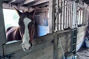 3371 Mathews Ln, Alburtis, PA 18011 - Photo 115