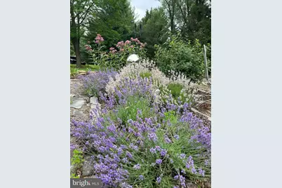 6335 Red Fox Court, Coopersburg, PA 18036 - Photo 49