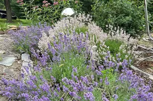 6335 Red Fox Ct, Coopersburg, PA 18036 - Photo 49