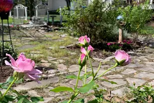 6335 Red Fox Ct, Coopersburg, PA 18036 - Photo 53