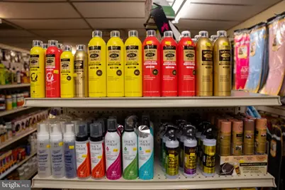 917 W Hamilton Street, Allentown, PA 18101 - Photo 23