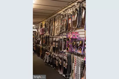 917 W Hamilton Street, Allentown, PA 18101 - Photo 5