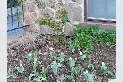 1225 Walnut, Allentown, PA 18102 - Photo 9