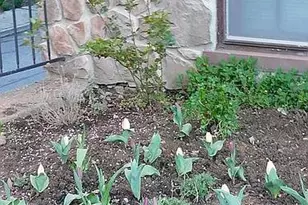 1225 W Walnut, Allentown, PA 18102 - Photo 9