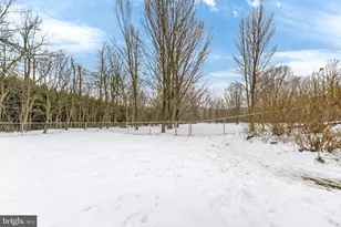 7202 Stein Rd, Zionsville, PA 18092 - Photo 69