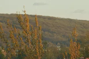 1225 W Walnut St, Allentown, PA 18102 - Photo 33