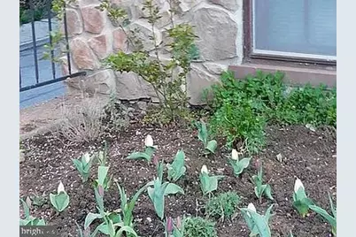 1225 W Walnut Street, Allentown, PA 18102 - Photo 9