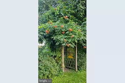 1560 Pinewind Drive, Alburtis, PA 18011 - Photo 53