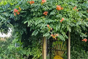 1560 Pinewind Dr, Alburtis, PA 18011 - Photo 53