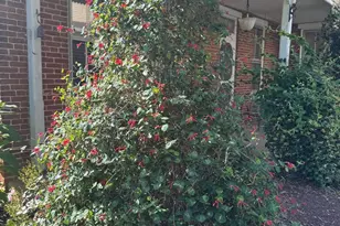 240 Franklin St, Alburtis, PA 18011 - Photo 27