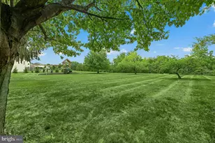 8018 Orchard View Ln, Fogelsville, PA 18051 - Photo 41