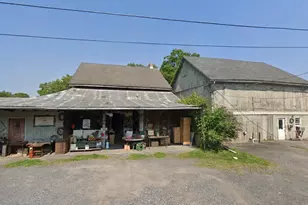 113 John Alley, Coopersburg, PA 18036 - Photo 1