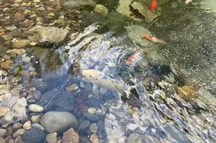 965 N College St, Myerstown, PA 17067 - Photo 61