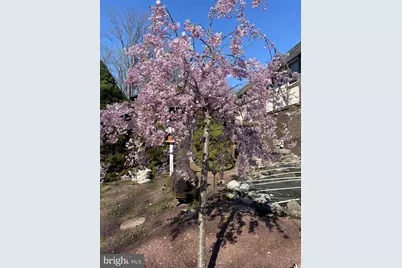 965 N College Street, Myerstown, PA 17067 - Photo 93