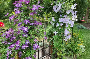 409 Granite St, Lebanon, PA 17042 - Photo 97