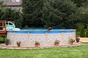 14 N Butterfly Dr, Myerstown, PA 17067 - Photo 49