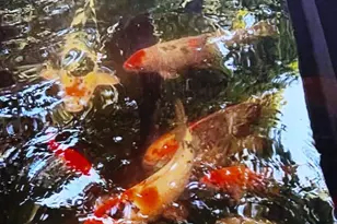 68 Eisenhauer Rd, Myerstown, PA 17067 - Photo 9