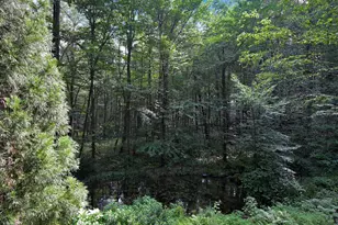 506 Hemlock Ln, Lebanon, PA 17042 - Photo 63