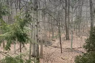 506 Hemlock Ln, Lebanon, PA 17042 - Photo 11