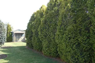 1300 E Kercher Ave, Myerstown, PA 17067 - Photo 9