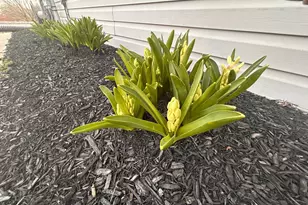 375 Snow Dr, Lebanon, PA 17046 - Photo 11