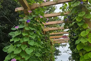 403 E Chestnut St, Cleona, PA 17042 - Photo 55