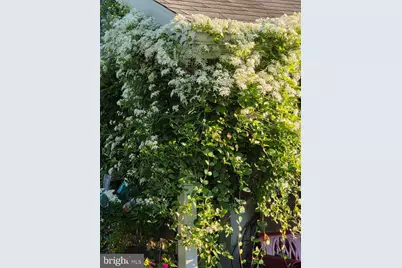 403 E Chestnut Street, Cleona, PA 17042 - Photo 45