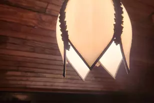 210 Harvard Ave, Mount Gretna, PA 17064 - Photo 89