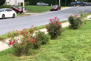 502 S 3rd Ave S, Lebanon, PA 17042 - Photo 7