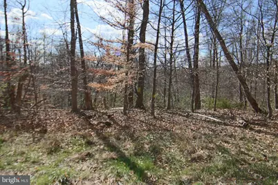 0 S Forge Road, Palmyra, PA 17078 - Photo 3