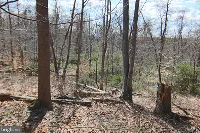 0 S Forge Road, Palmyra, PA 17078 - Photo 1