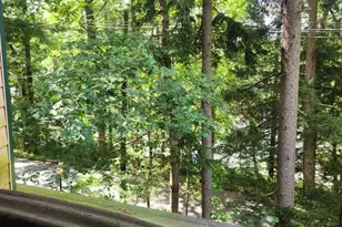 312 Pennsylvania Ave, Mount Gretna, PA 17064 - Photo 83