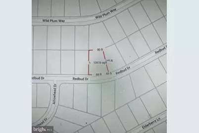 Lv 280 Redbud, Hazle Township, PA 18202 - Photo 19