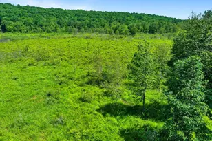 368 State Route 437, White Haven, PA 18661 - Photo 95