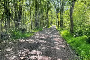 368 State Route 437, White Haven, PA 18661 - Photo 115