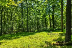 368 State Route 437, White Haven, PA 18661 - Photo 91